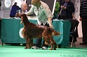 Crufts2011 529